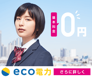 日本エネルギー総合システム株式会社「eco電力」」